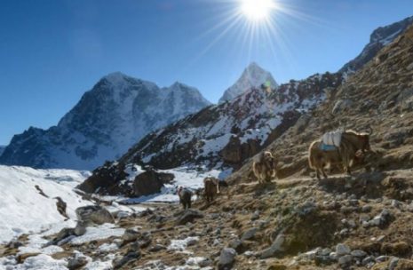 Luxurious Trek to Everest Base Camp – 7 days